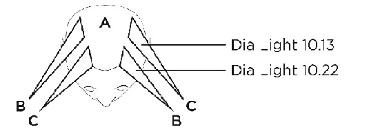 The Technique: Sectioning